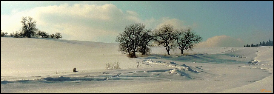 Olešnice na Moravě